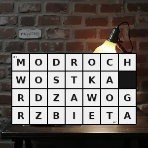 Hasło krzyżówkowe chenorhamphus campbelli gatunek ptaka z rodziny chwostkowatych maluridae występujący na nowej gwinei - modrochwostka rdzawogrzbieta – rozwiązanie, synonimy, podpowiedzi i definicje krzyżówkowe